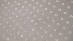 Outwell Universal Extension Size 3 -Outwell || Vango || Fiamma Sales 110997 universal extension size 3 feature photo 8