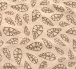 Robens Wolf Moon 5XP Tent Package -Outwell || Vango || Fiamma Sales robens carpet 1